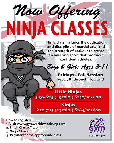 Ninja Classes (ages 3-5 and 6-11)